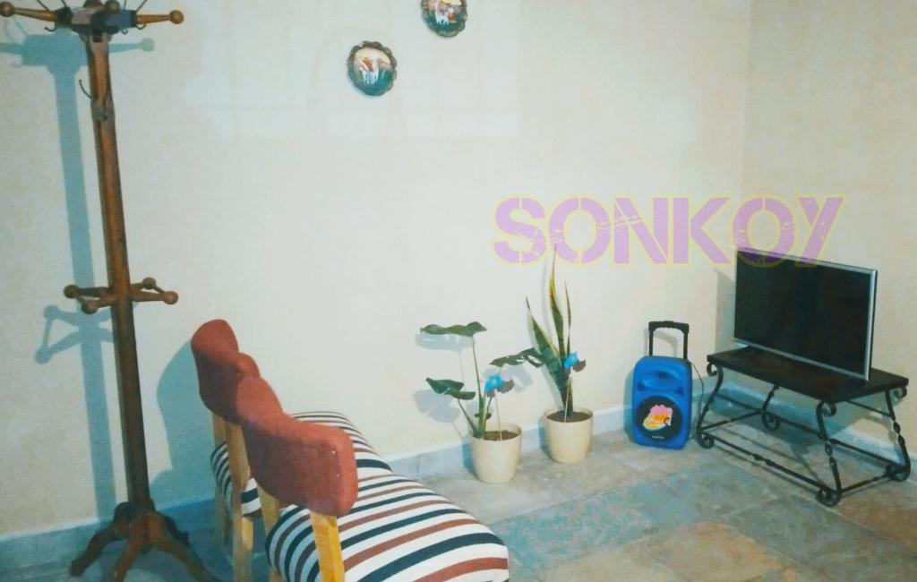 a living room with a tv and a chair and a lamp at SONKOY APART in San Salvador de Jujuy