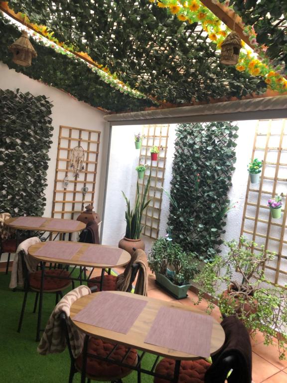 a patio with tables and chairs and plants at Merry's House in Lagos