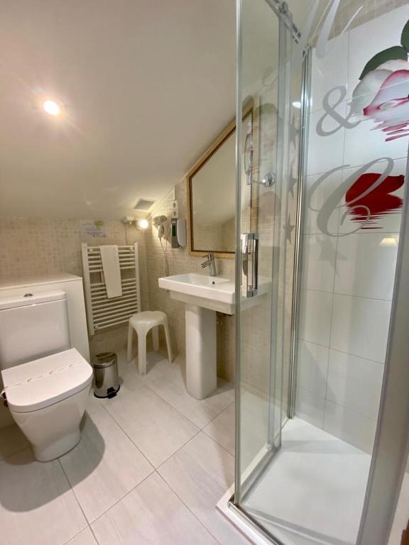a bathroom with a shower and a toilet and a sink at El Tejo de Comillas in Comillas