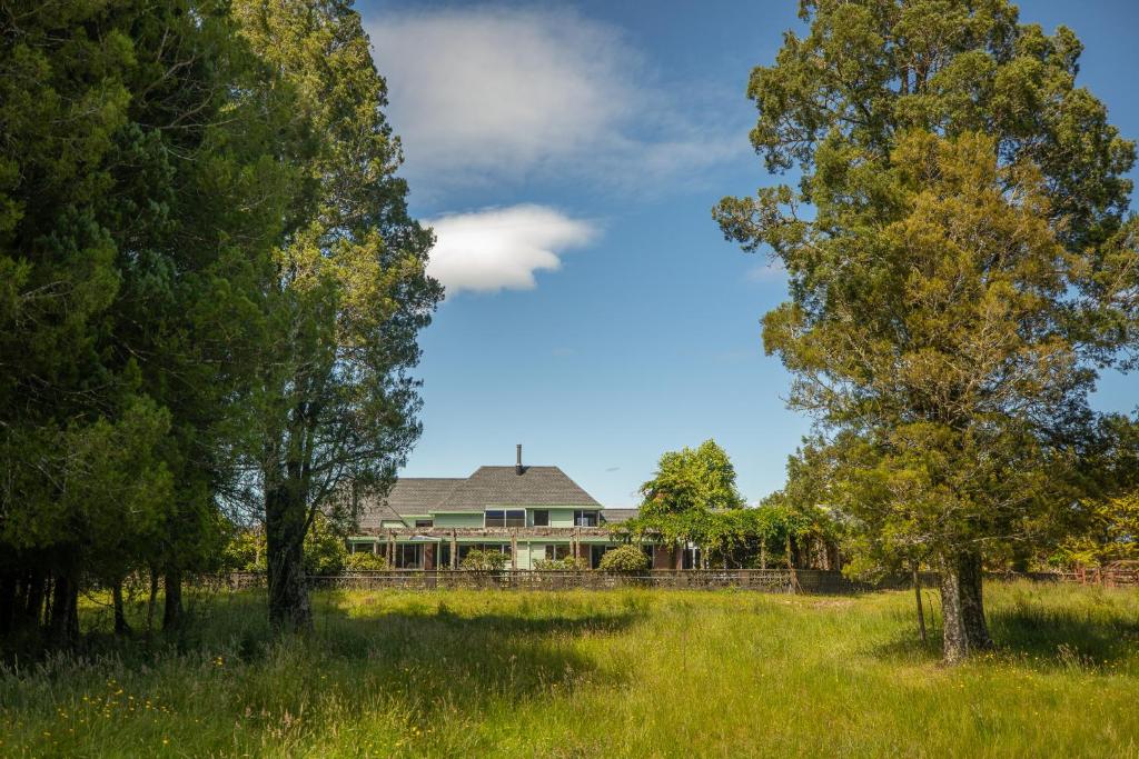 ein Haus inmitten eines Feldes mit Bäumen in der Unterkunft Woodland Glen Lodge B&B in Hokitika