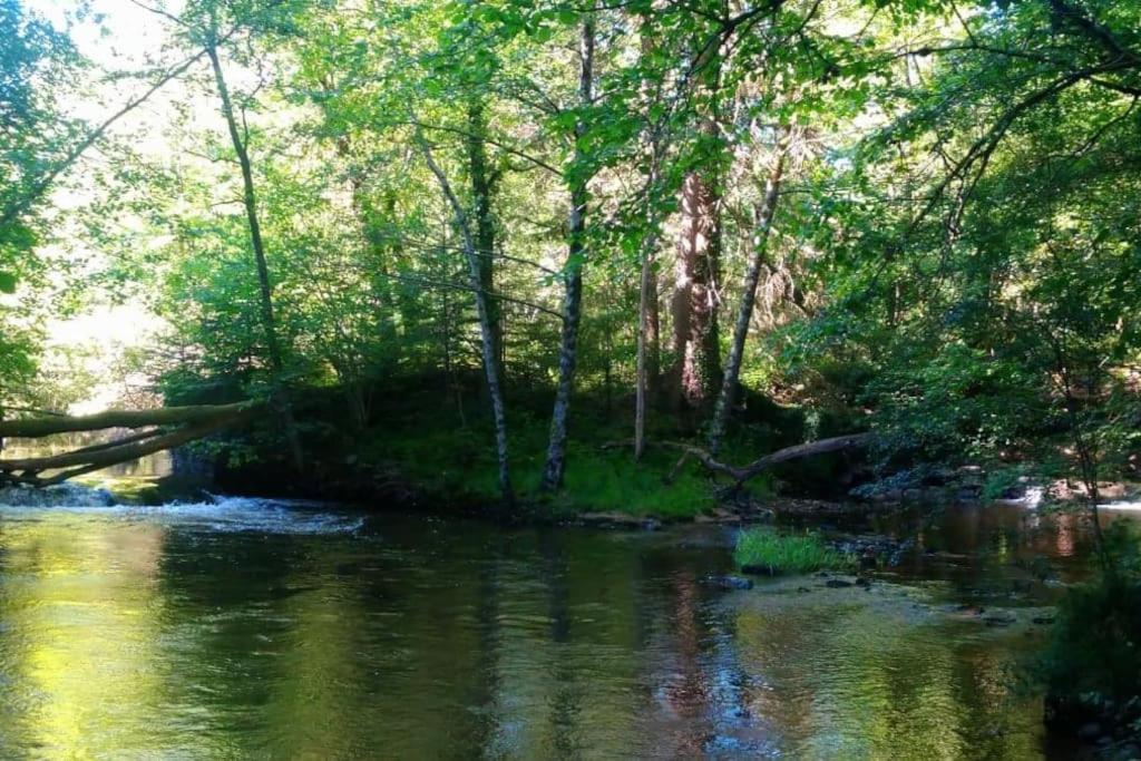 Príroda v okolí luxusného stanu