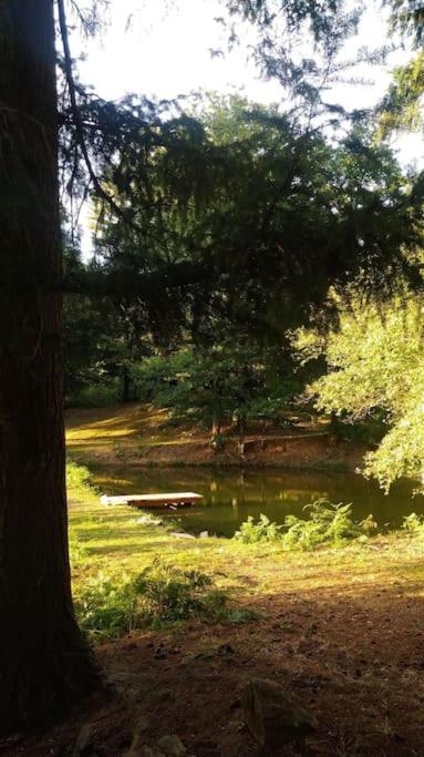 Príroda v okolí luxusného stanu
