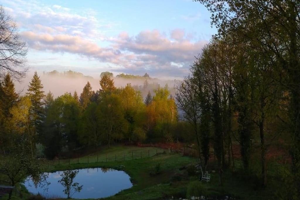 Príroda v okolí luxusného stanu