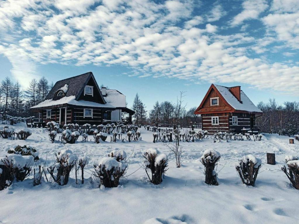 um grupo de animais na neve ao lado de edifícios em Domki Osada Werdołyna em Polańczyk