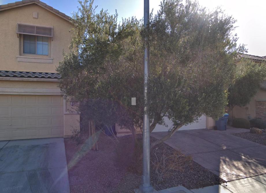 a small tree in front of a house at Hotel a Go-Go in Las Vegas