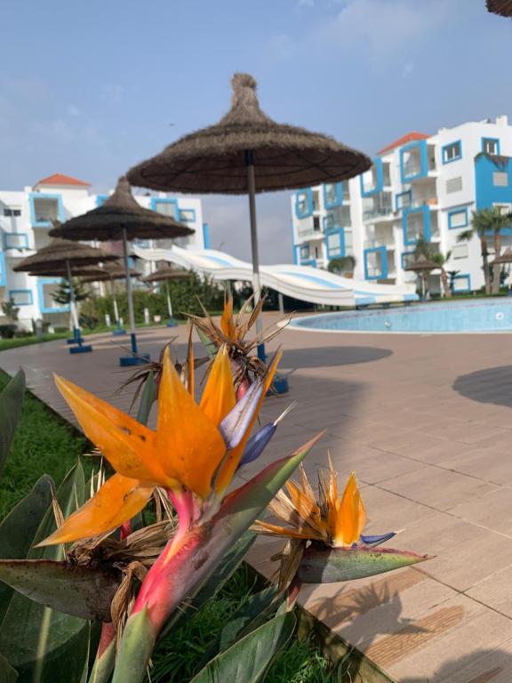 uma flor em frente a uma piscina com guarda-sóis em Appartement de standing Résidence Kariat Cabo em Cabo Negro