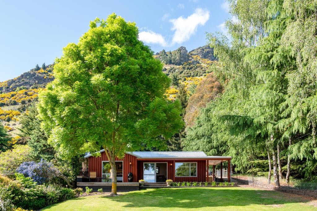 a small red cabin in a garden with a tree at Criffel Bluffs Cottage in Wanaka