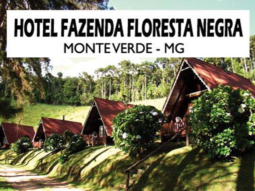  Hotel Fazenda Floresta Negra