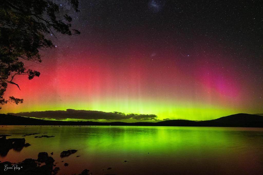 an aurora in the sky over a body of water at Tall Trees- Forest hideaway on Hastings Lagoon in Hastings