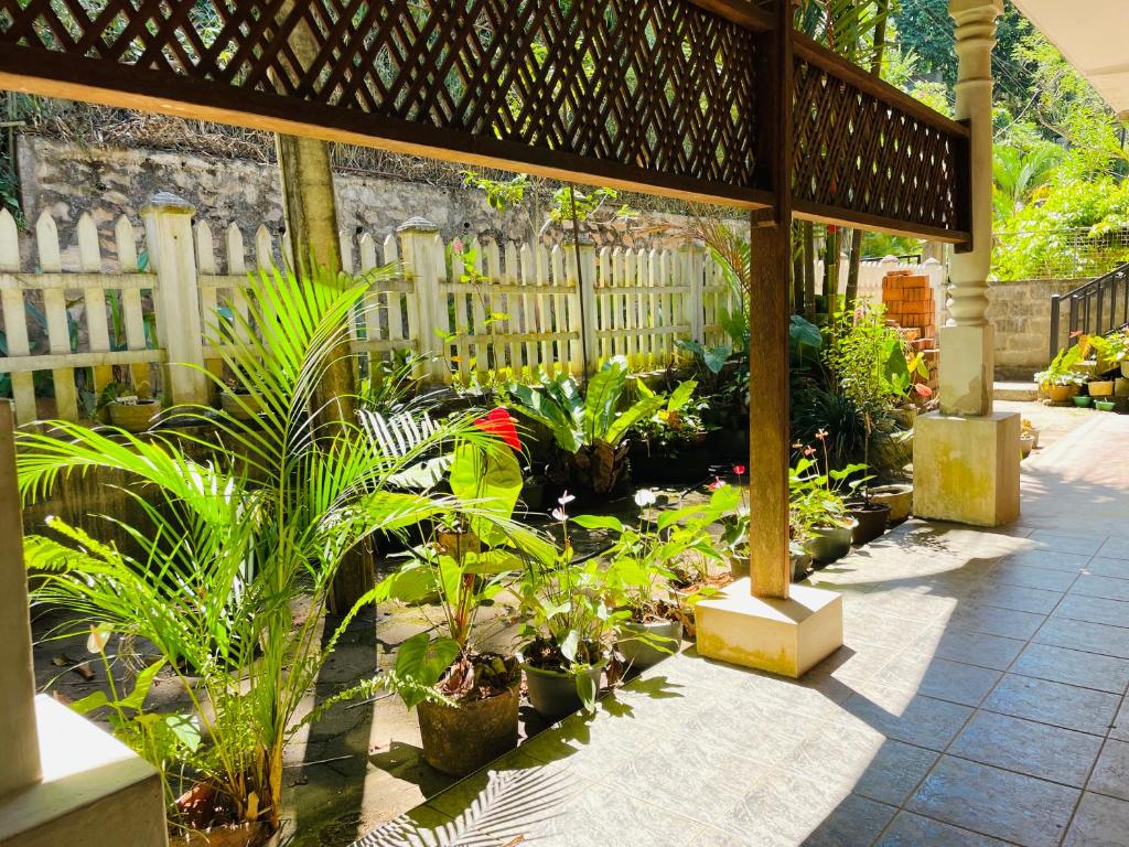 Zahrada ubytování Unique Villa