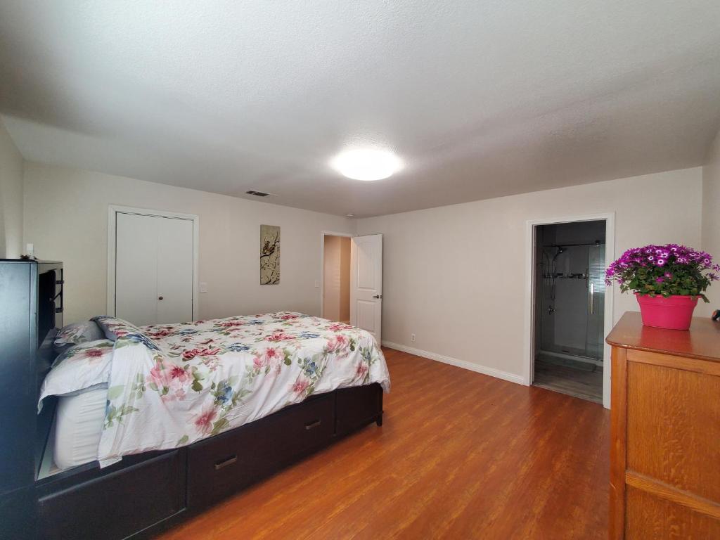 One star, Hesperia (aktualisierte Preise für 2024)