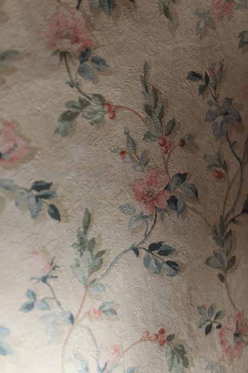 Da Mario in Florence Guesthouse - 4