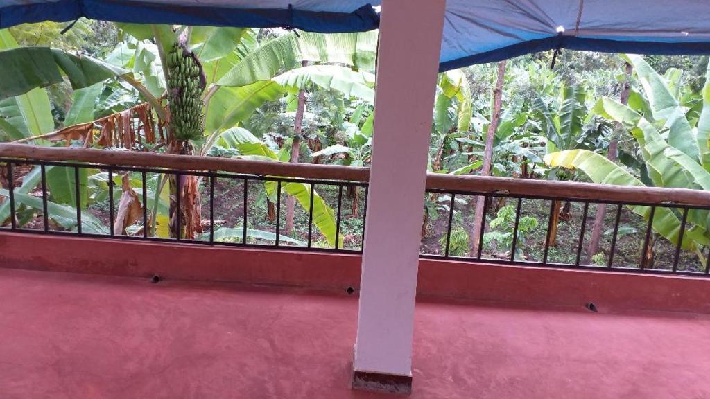 a balcony with a fence and trees in the background at The Hondo Hondo House, Mto wa Mbu in Mto wa Mbu