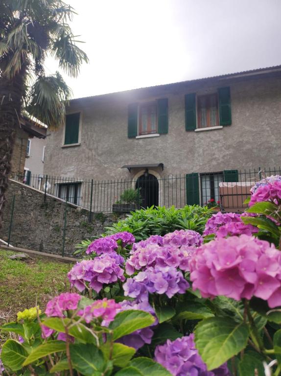 Casa Angela