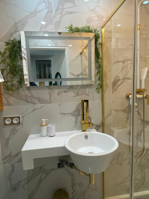 une salle de bain avec un lavabo et une douche en verre dans l'établissement Studio centre ville palais de la mer 100m port et 300m plage, à Sainte-Maxime