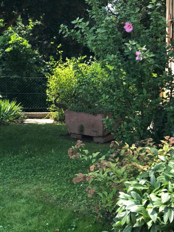 Gite de la Streng – photo 37