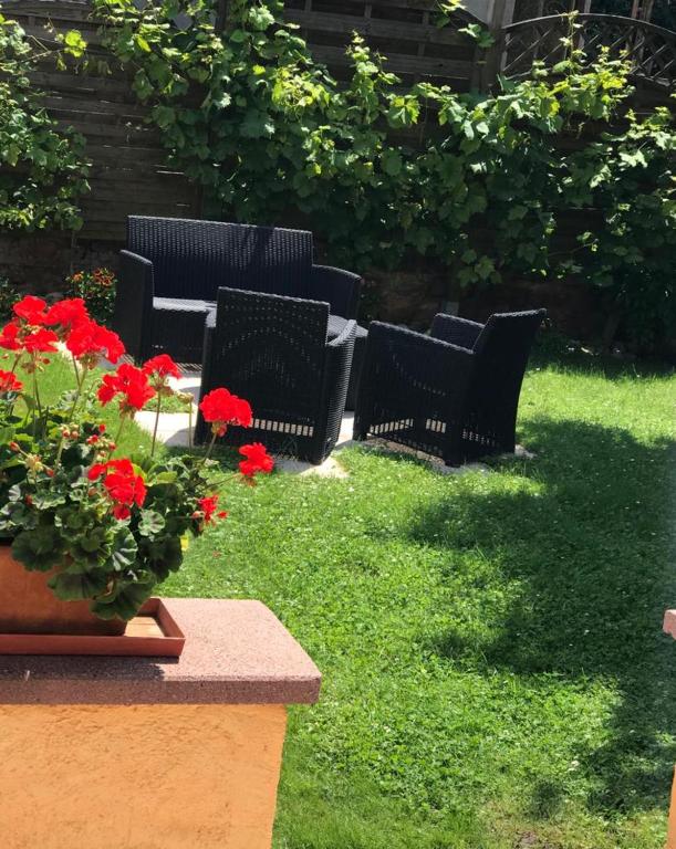 Gite de la Streng – photo 38