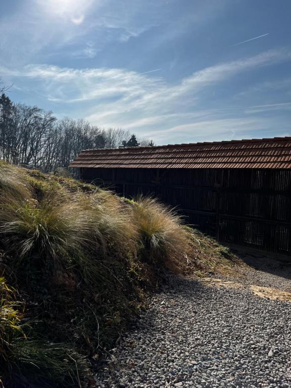 Příroda nedaleko apartmánu