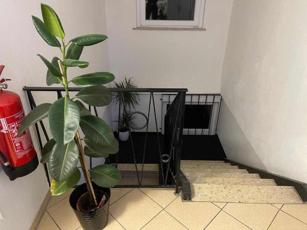 Fotografie z fotogalerie ubytování Hotel Am Wildpark v destinaci Sankt Ingbert