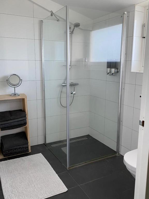 een douche met een glazen deur in de badkamer bij Slapen bij Uppruna in Chaam
