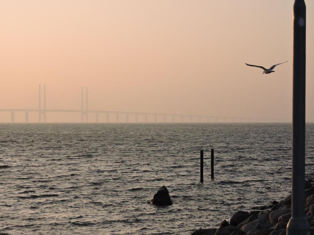 Havshotellet - Resim 44