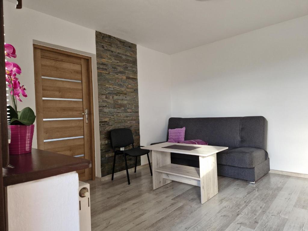 Apartamenty u Krystyny - 3