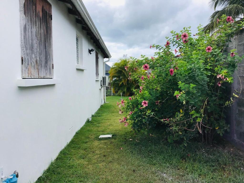 Zahrada ubytování Villa Caraibes