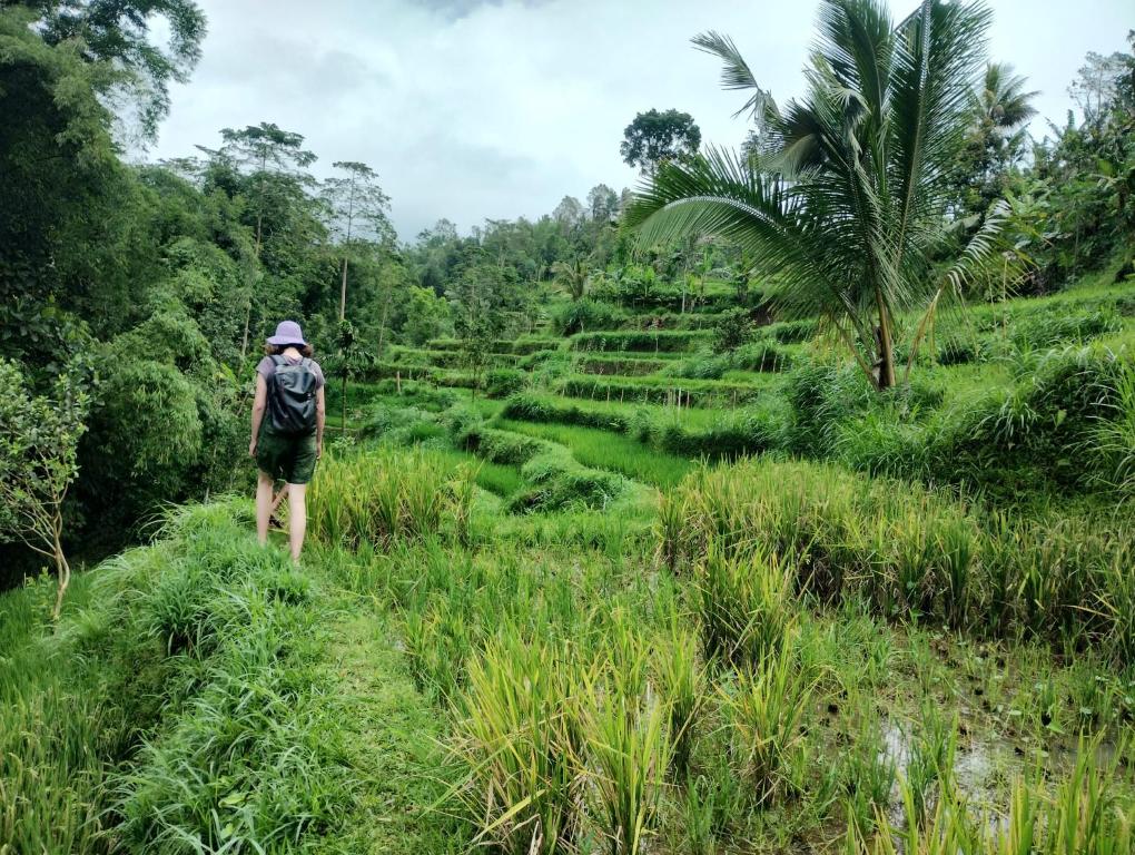 Girang Rinjani Bungalows - 19
