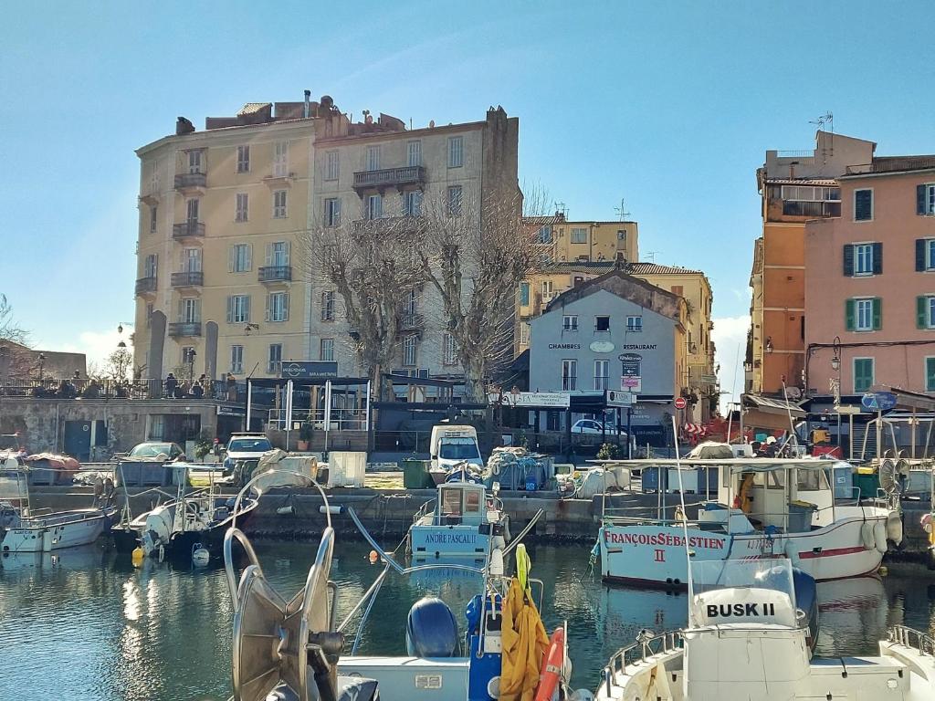 eine Gruppe von Booten, die in einem Yachthafen mit Gebäuden angedockt sind in der Unterkunft Les Studios du Pêcheur - Hypercentre - Clim - City Trip in Ajaccio