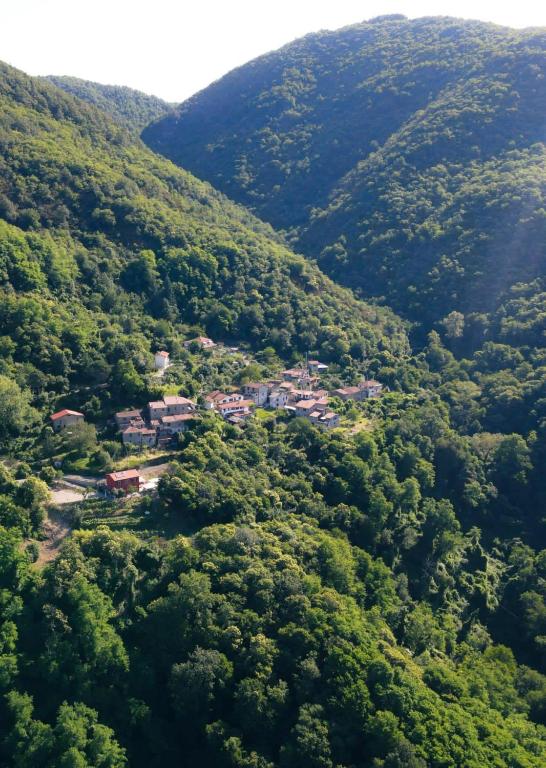 Príroda v okolí farmy