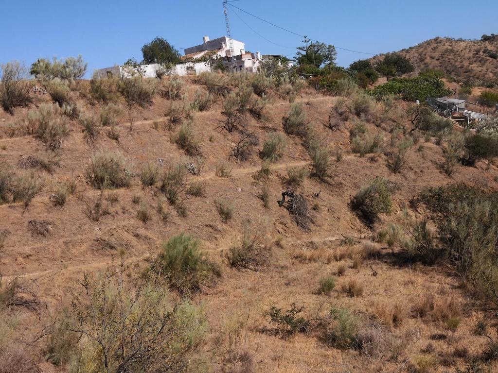 Une colline avec une maison en haut dans l'établissement Finca La Pimienta, à Pizarra