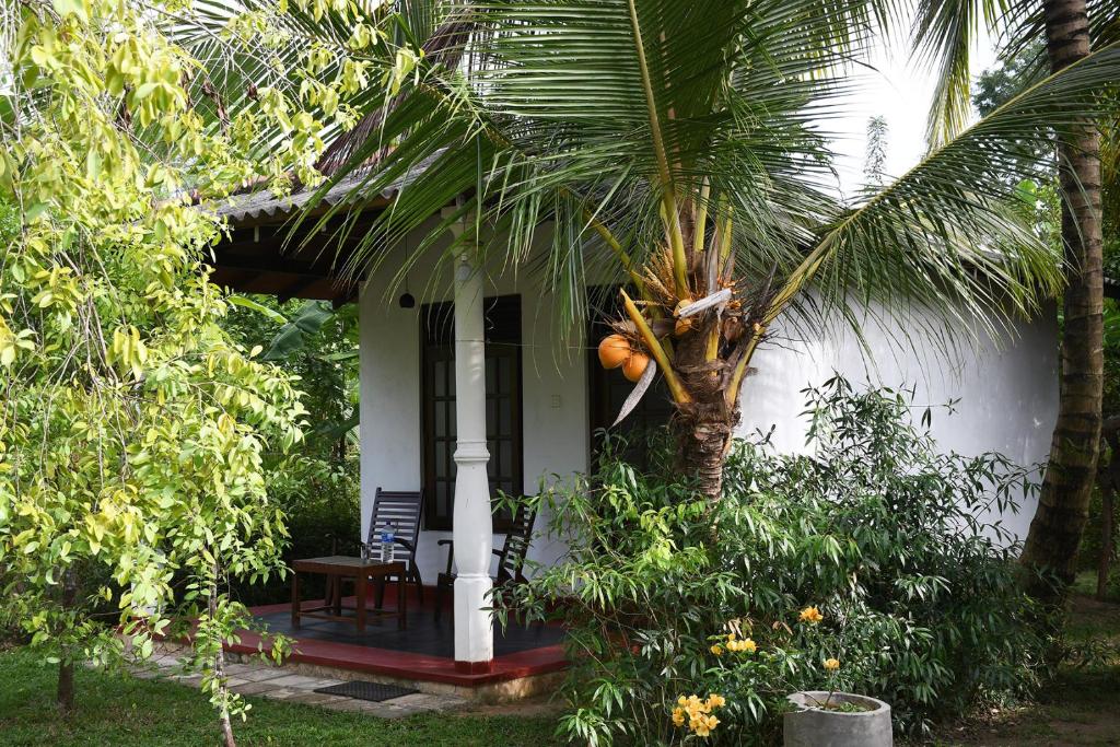 Zahrada ubytování Bay Hill Guest House