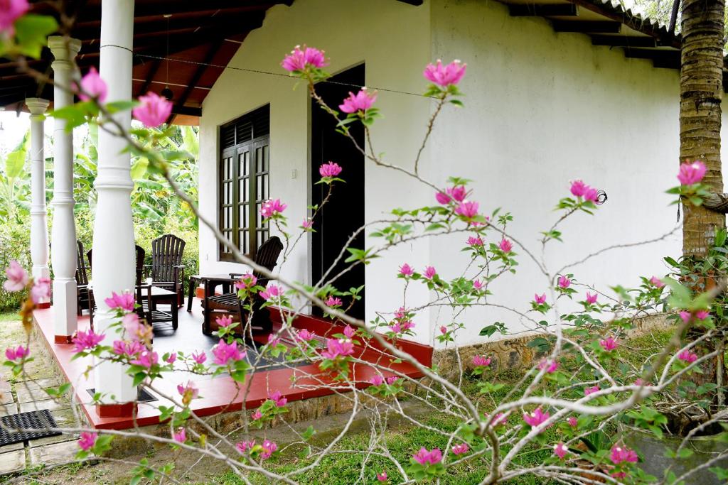 Zahrada ubytování Bay Hill Guest House