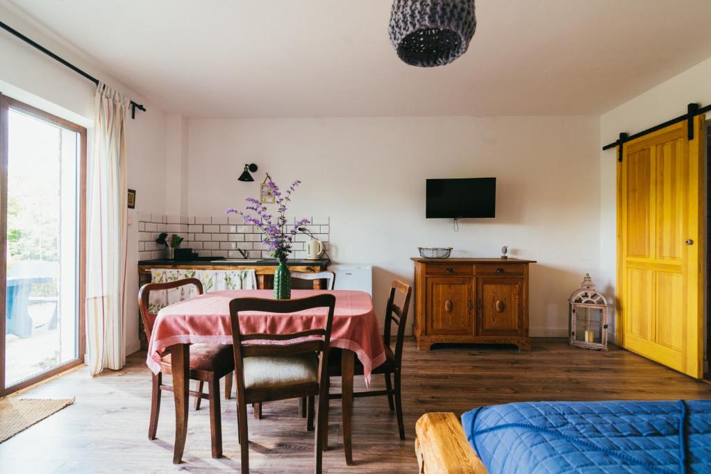Televízia a/alebo spoločenská miestnosť v ubytovaní Apartamenty na Pastwisku