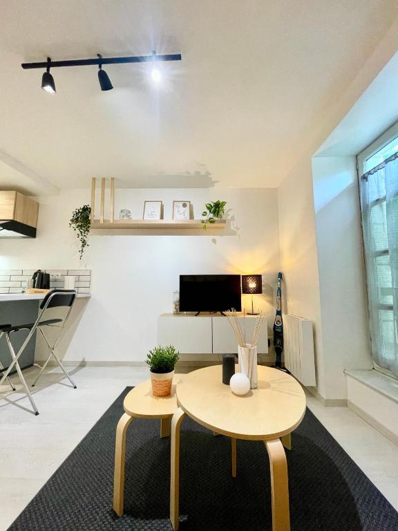 salon ze stołem i telewizorem w obiekcie Grand studio Hyper centre WIFI w mieście Rodez
