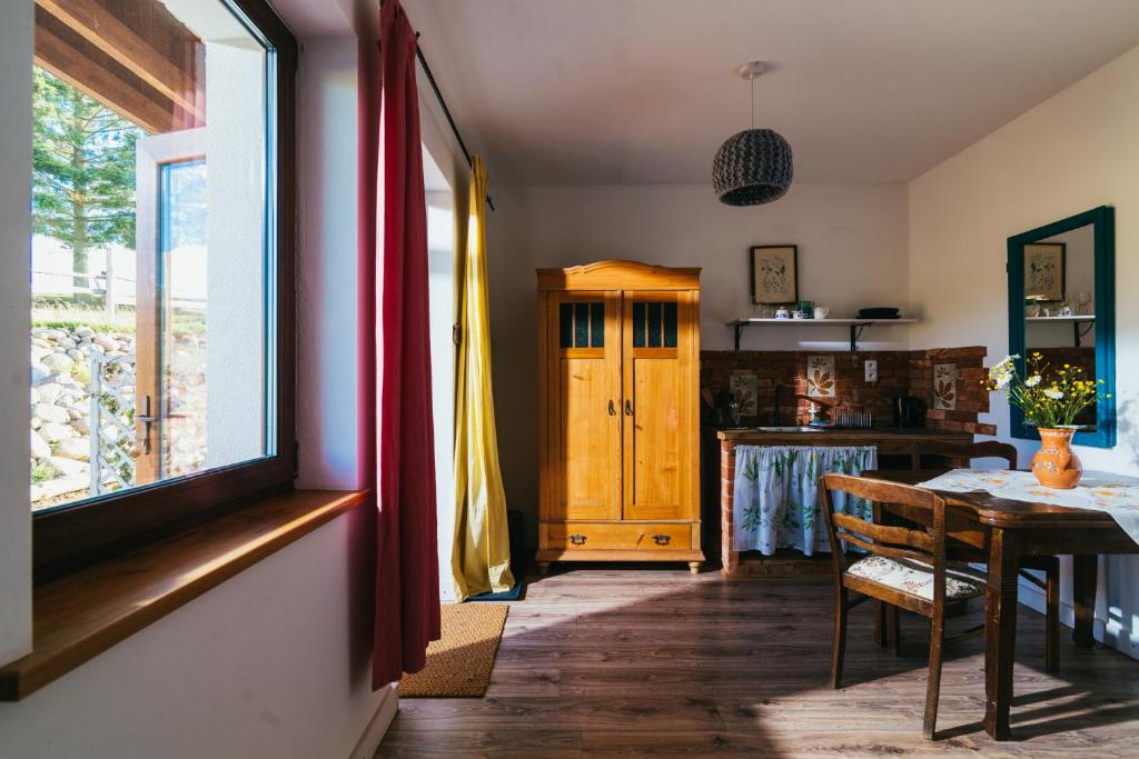 Kuchyňa alebo kuchynka v ubytovaní Apartamenty na Pastwisku