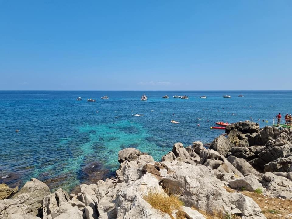 Ashur mondello - Resim 13