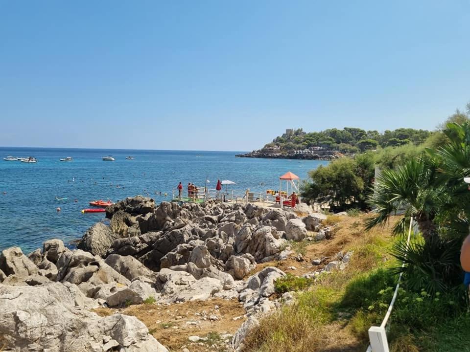 Ashur mondello - Resim 11