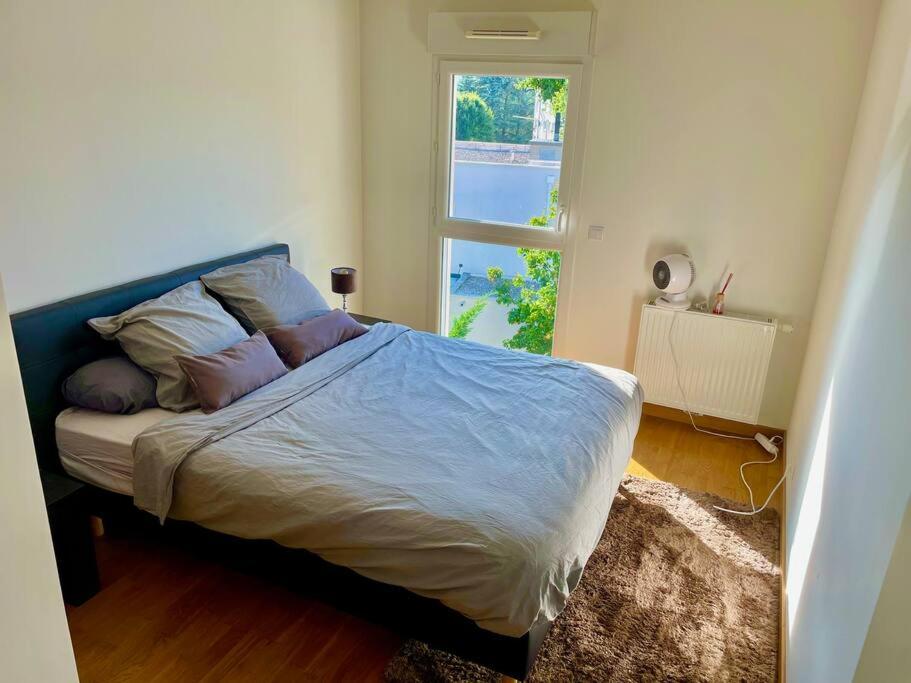 een slaapkamer met een bed met kussens en een raam bij Superbe appartement cosy avec jacuzzi in Francheville
