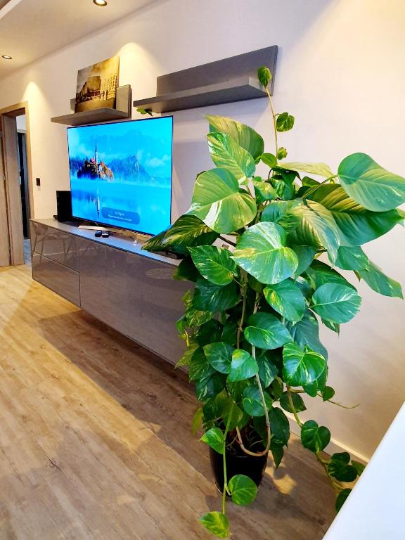 Televízia a/alebo spoločenská miestnosť v ubytovaní Galaxy Apartments