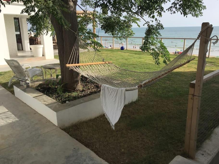 a hammock hanging from a tree next to a beach at Casa de invitados, a pie de playa, en La Torre Verde in El Puerto de Santa María