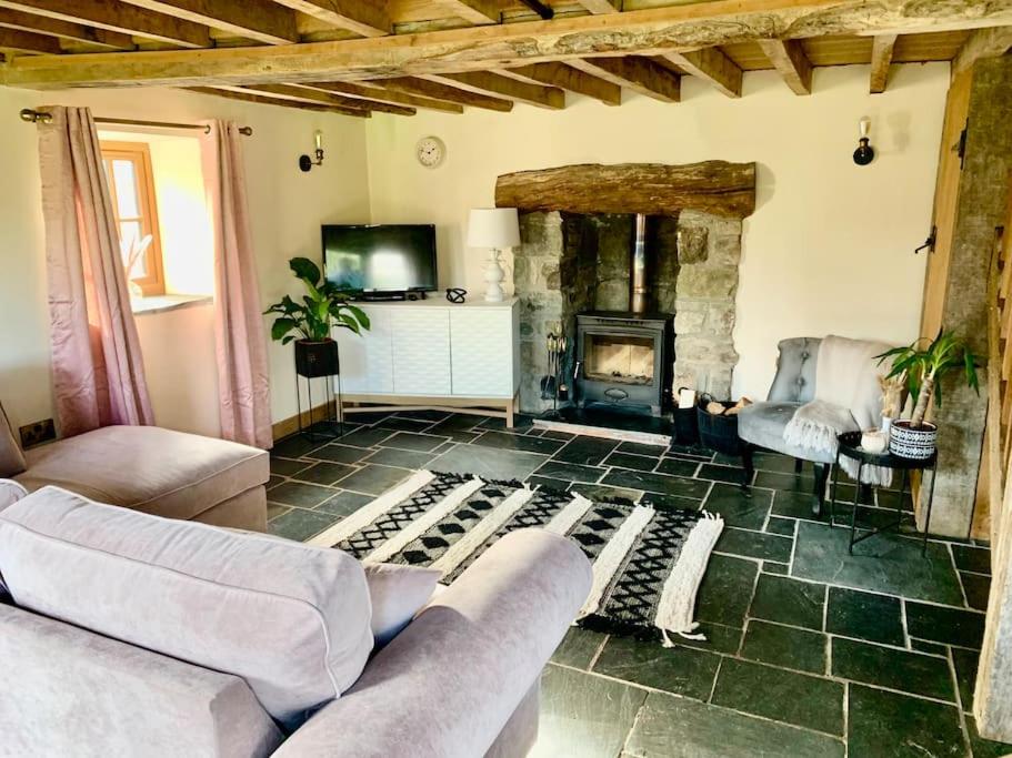 a living room with a couch and a fireplace at Yr Hen Efail in Llanfihangel-yng-Ngwynfa