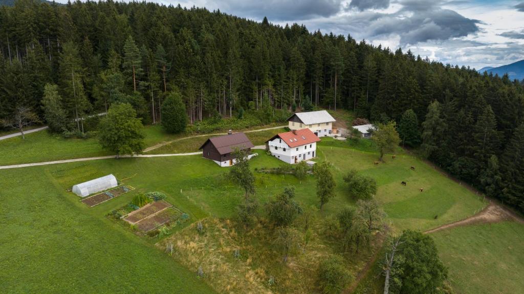 Příroda nedaleko apartmánu