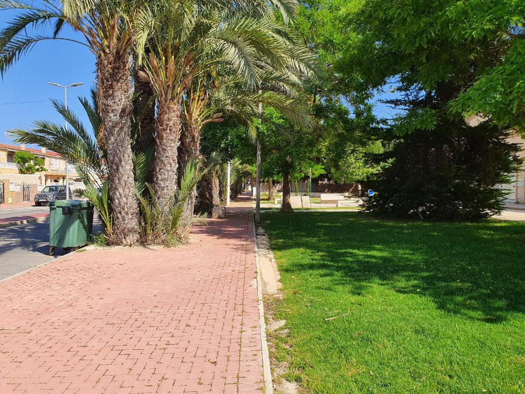 Zahrada ubytování El.Paraiso, Torrevieja
