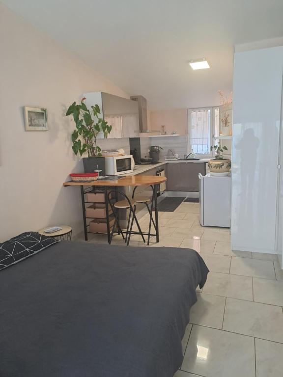 a room with a kitchen with a table and a microwave at Chez Sabine et Pascal in Meyzieu