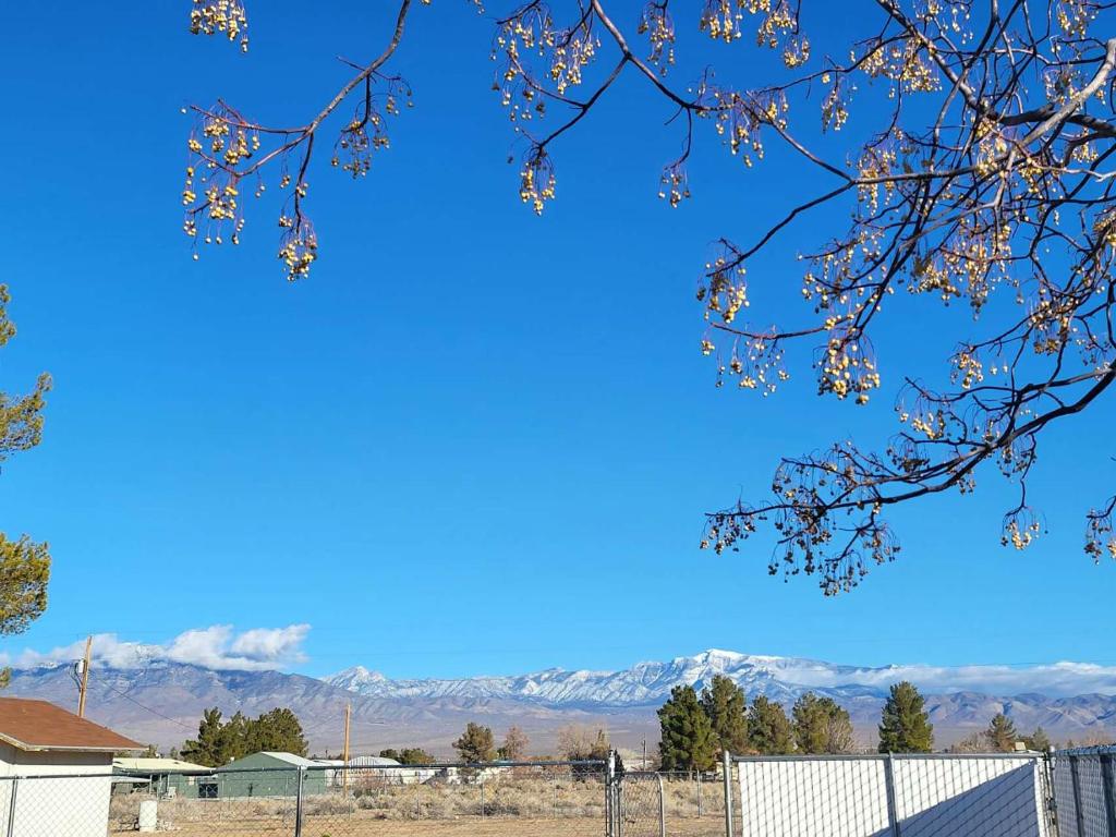 a view of the mountains from behind a tree at Sun Angel House #2 Pahrump in Pahrump