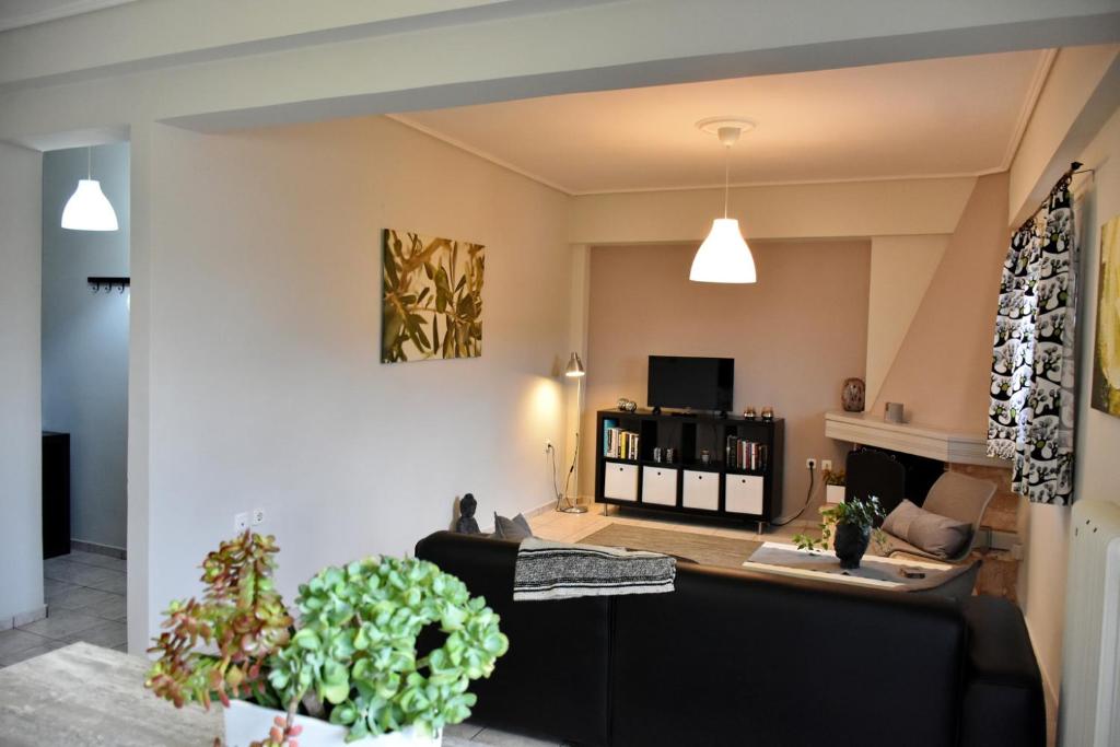 A television and/or entertainment centre at The Lovely Guesthouse Avlonari