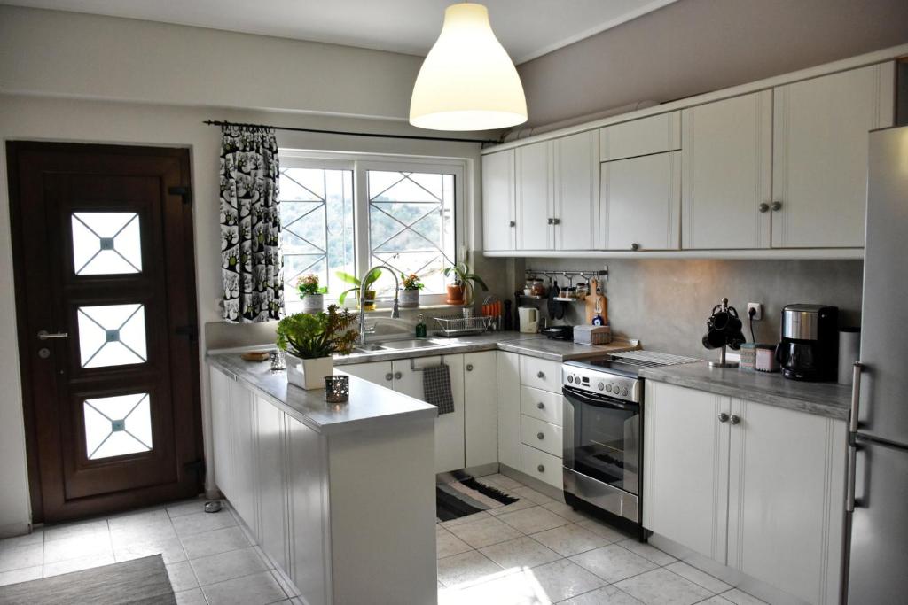 A kitchen or kitchenette at The Lovely Guesthouse Avlonari