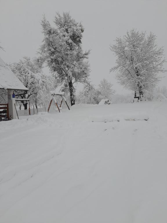 Kuća za odmor Antonija - 4