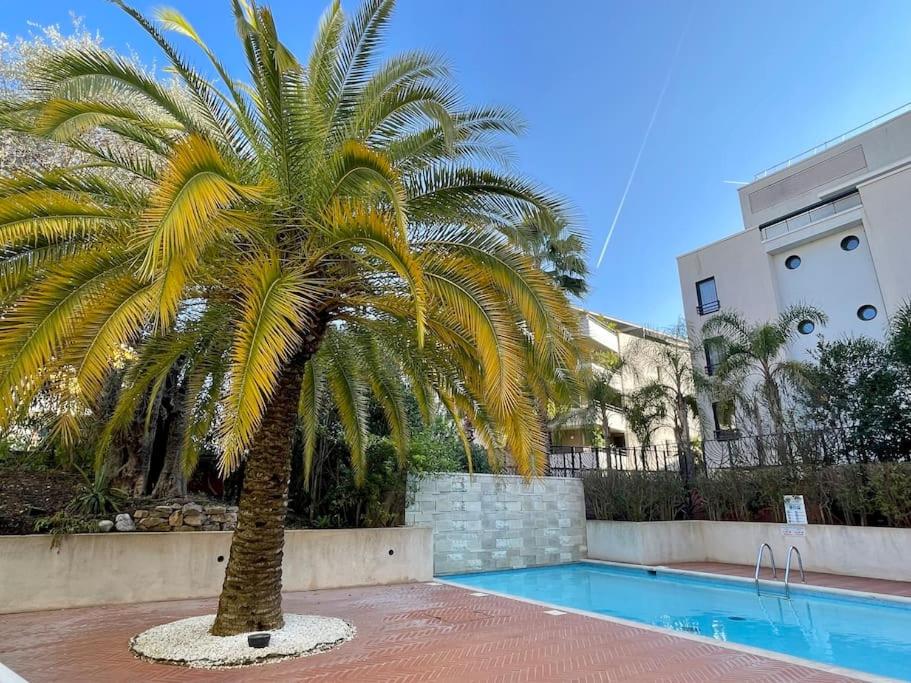 Bazén v ubytovaní 2 pièces près de la Croisette alebo v jeho blízkosti